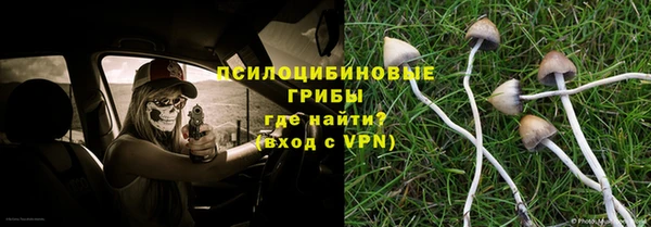 mdpv Бугульма