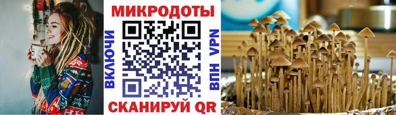 Галлюциногенные грибы GOLDEN TEACHER  дарнет шоп  ссылка на мегу ТОР  Архангельск 